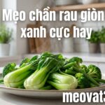 mẹo chần rau giòn xanh